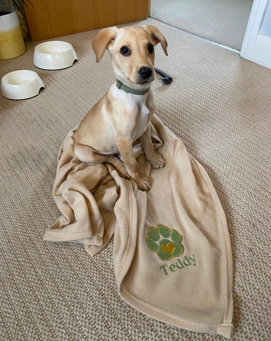 Pet Polar Fleece Blanket