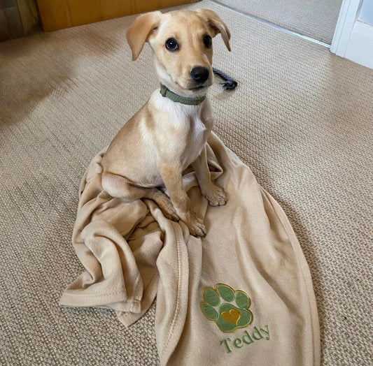 Pet Polar Fleece Blanket